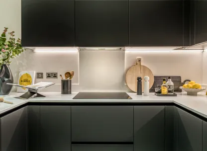 Dagenham green show apartment 18