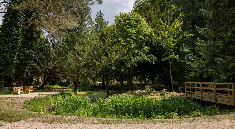 Farehurst Park - Pumping House Pond 