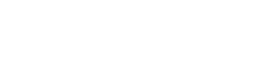 Knights Park Logo 